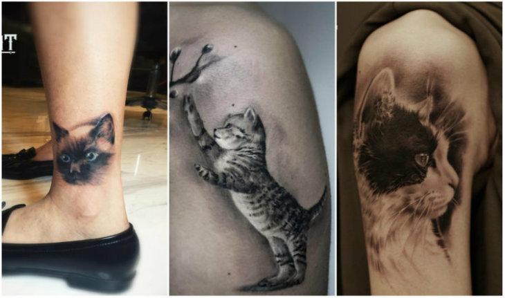 Tatuagem 3D de gatinhos