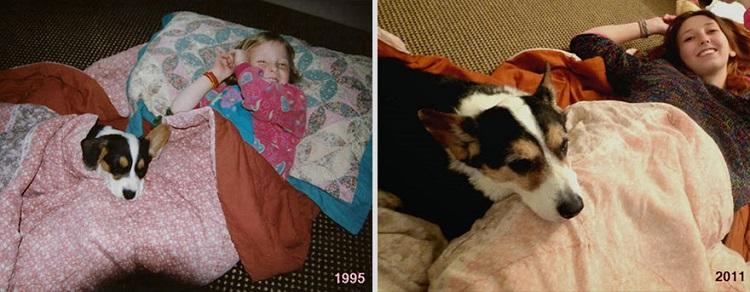 Antes e depois dos donos e seus animais de estimação