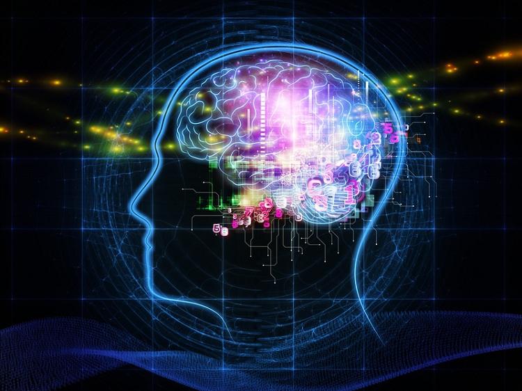 cérebro, dados, memórias, técnicas de memorização