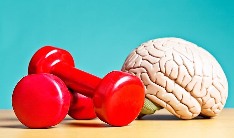 cerebro halter exercicios