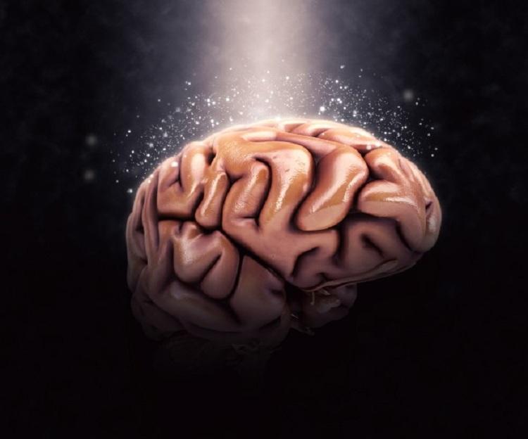 cérebro humano, fundo preto, formação das memórias