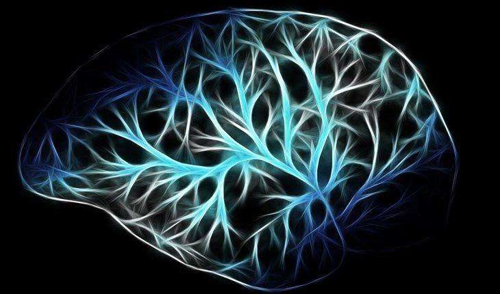 Na foto há uma ilustração de um cébebro com os neurônios desenhados em azul.