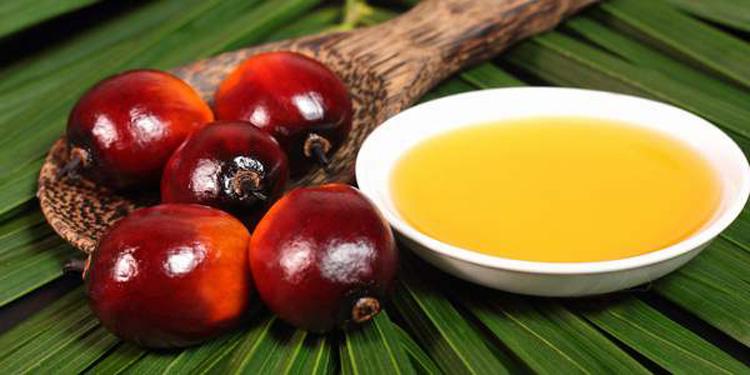Nutella é feita com óleo de palma