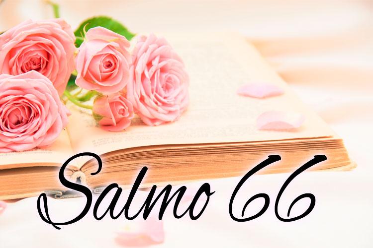 rosas bíblia salmo 66