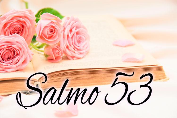 rosas bíblia salmo 53