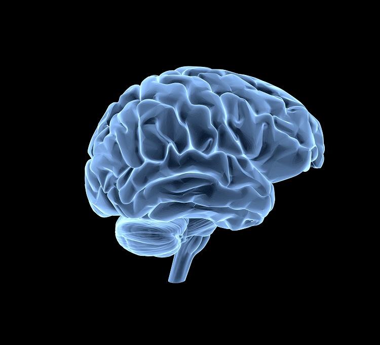cérebro, azul, fundo preto, dependência física, psicológica