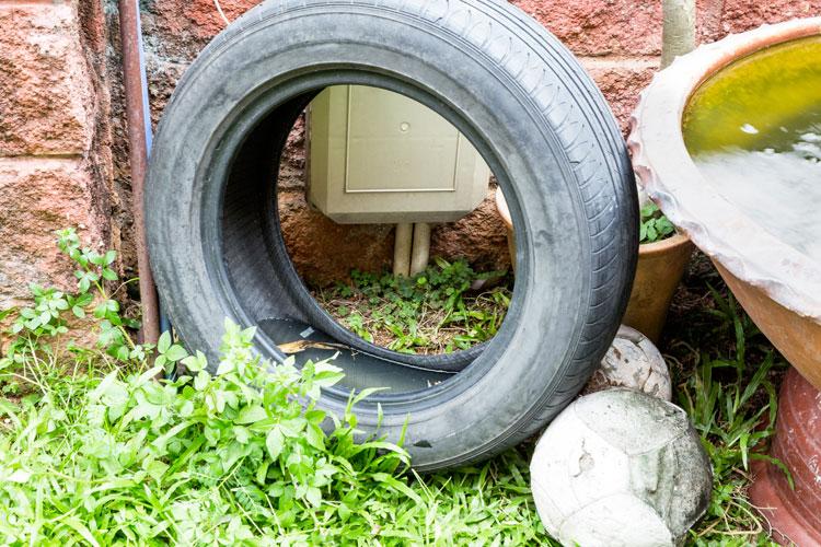 pneu bola quintal dengue agua parada