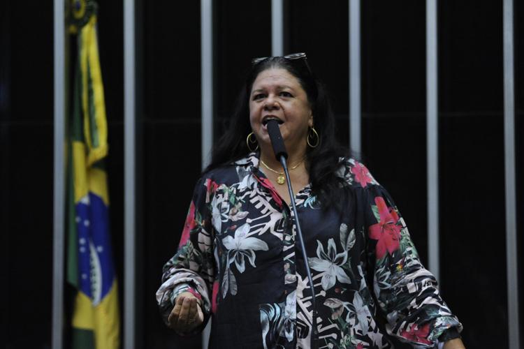 Imagem da deputada Laura Carneiro discursando na Câmara sobre vazar nudes com uma bandeira do Brasil ao fundo