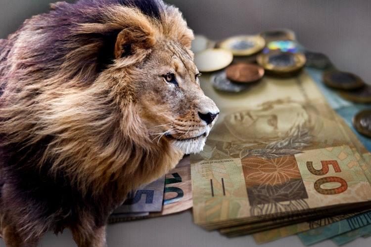 Leão, símbolo do Imposto de Renda, na frente de um montante de dinheiro