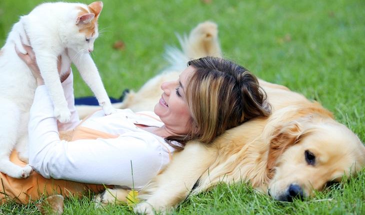 mulher deitada em um cachorro e brincando com um gato na grama