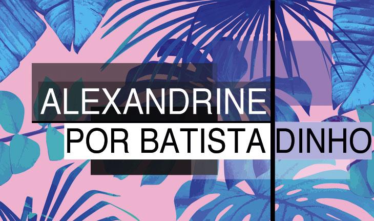 Alexandrine por Batista Dinho SPFW 17