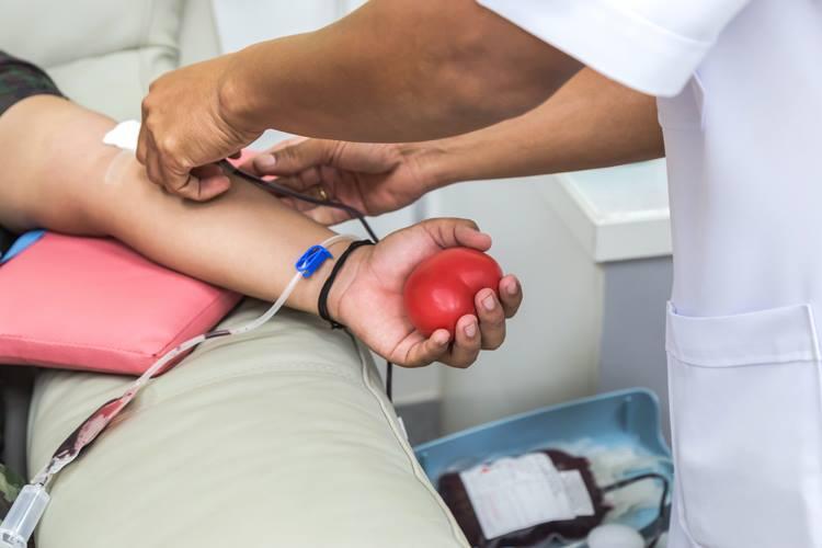Foto do braço de uma pessoa doando sangue, segurando uma bolinha de borracha vermelha e um médico arrumando a agulha