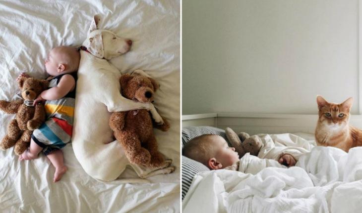 Fotos do bebê com animal de estimação gato e cachorro