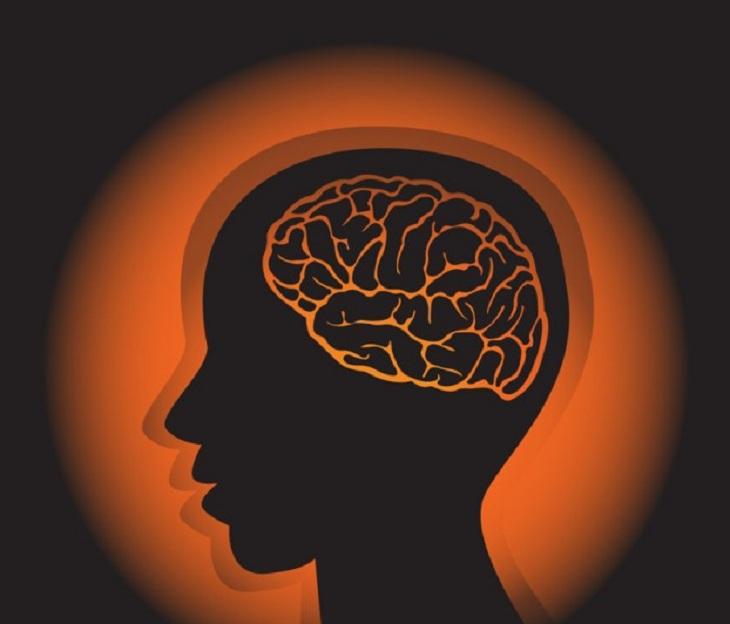 silhueta humana com cérebro laranja