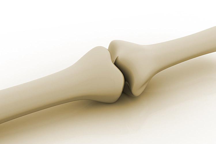 O cálcio ajuda a manter a saúde óssea em dia, afastando problemas como a osteoporose