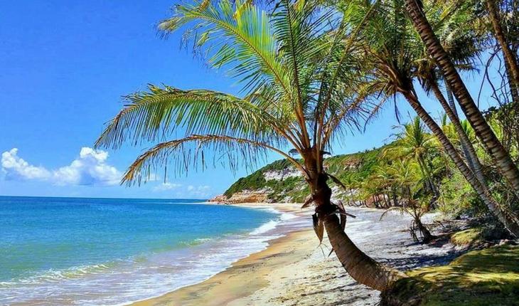 Praia de Trancoso com coqueiros e água azul