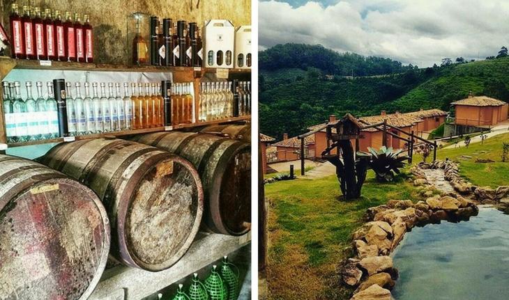 barril de cachaça e vinho e foto de fazenda em Serra Negra