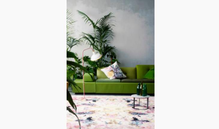 verde greenery na decoração sofá e plantas pinterest