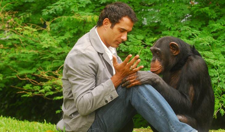 Animais famosos chimpanze Xico na novela caras e bocas
