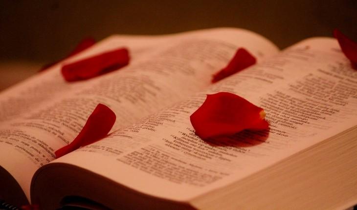 Imagem de uma bííblia aberta com uma série de pétalas de rosas em cima de suas páginas. Provérbios da semana