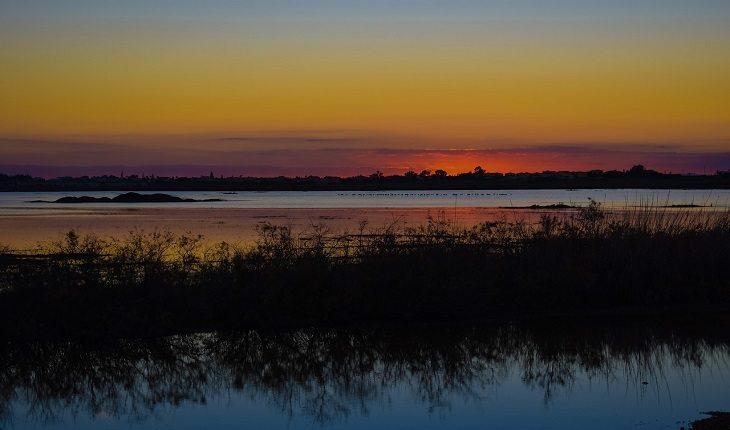 fotografia do nascer do sol no pantanal