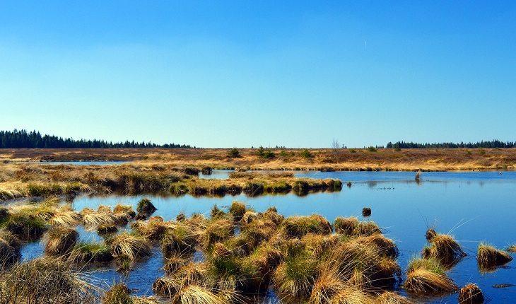 paisagem do pantanal