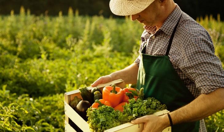 Homem carregando caixa com vegetais