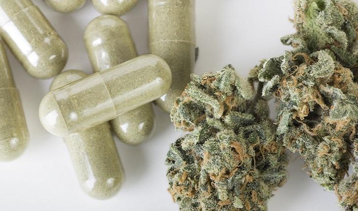 A foto mostra cápsulas de medicamento à base da cannabis para o uso medicinal da maconha