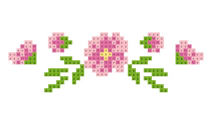 A foto é o gráfico em ponto cruz de uma flor rosa grande com duas flores menores e ramos ao redor
