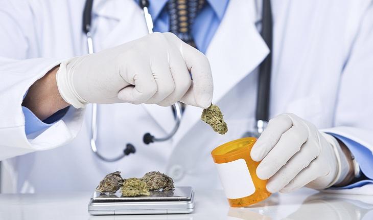 A foto mostra um médico colocando a cannabis em um pote a fim de promover o uso medicinal da maconha