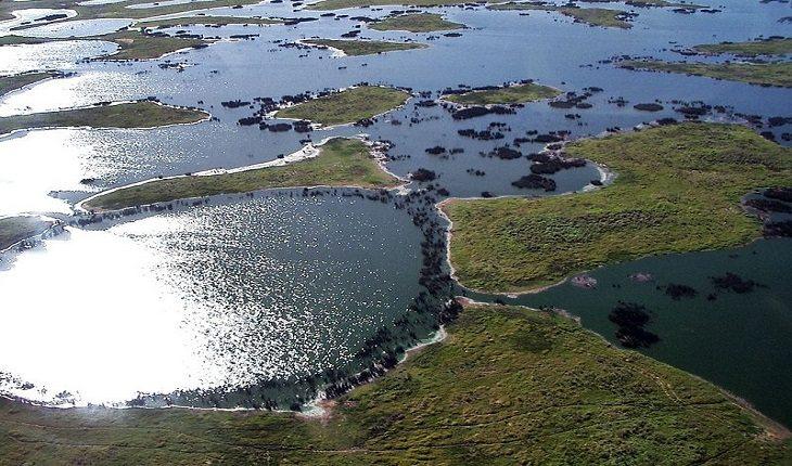 Imagem aérea do pantanal