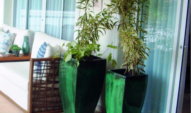 plantas para casa