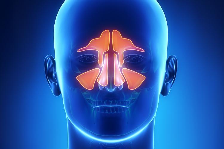 Aprenda quais são os principais sintomas da sinusite e proteja-se!