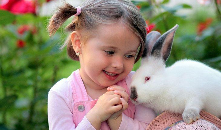 Curiosidades sobre coelhos. Na foto, uma menininha e um coelho branco