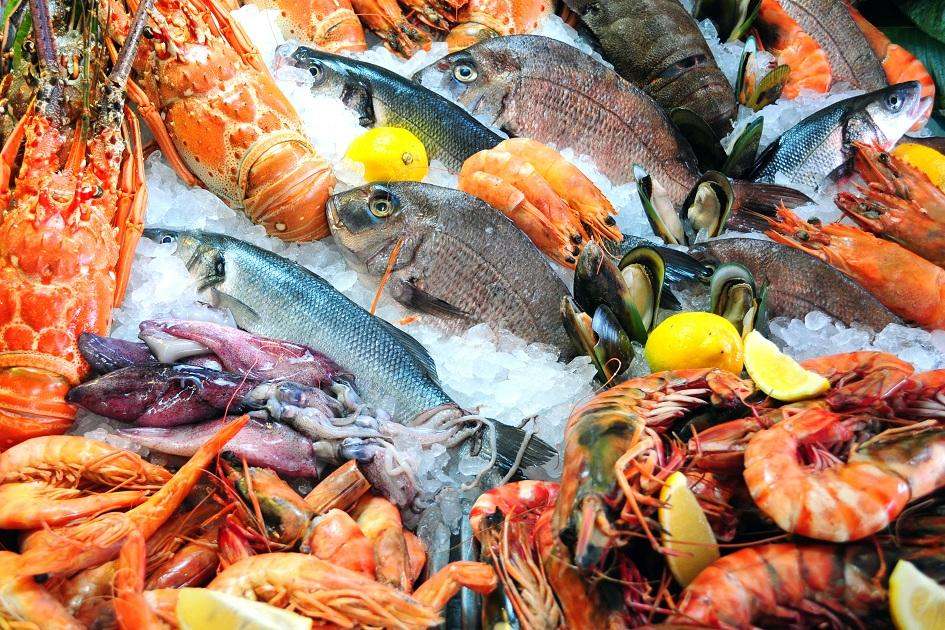 Entre os frutos do mar, o camarão é o que possui maior concentração de proteínas.