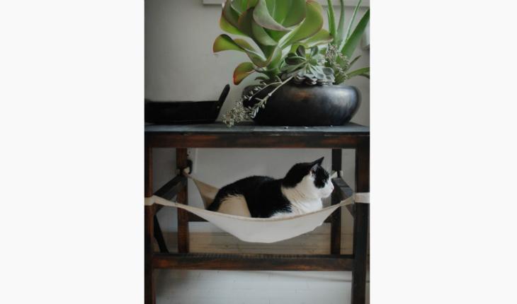 decoração gatos em casa rede pinterest