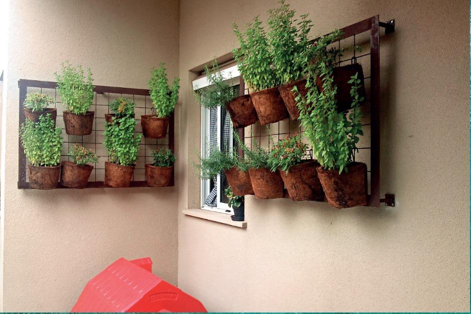 varanda com plantas adaptada para animais