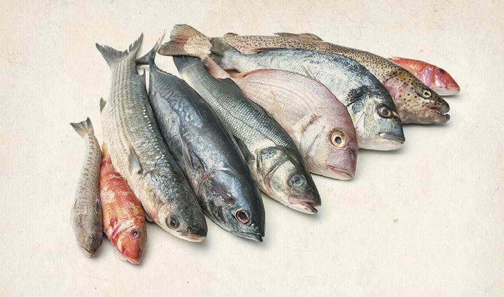 Foto com alguns peixes que compõe uma lista com os alimentos que dão sensação de bem-estar e tranquilidade.