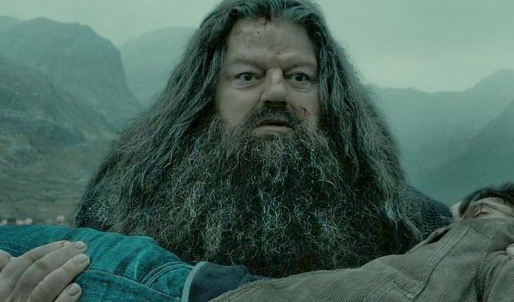 Hagrid carregando Harry para frases de personagens de Harry Potter