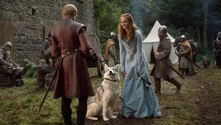 Sansa e a loba