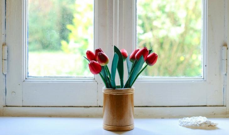 vaso com tulipas