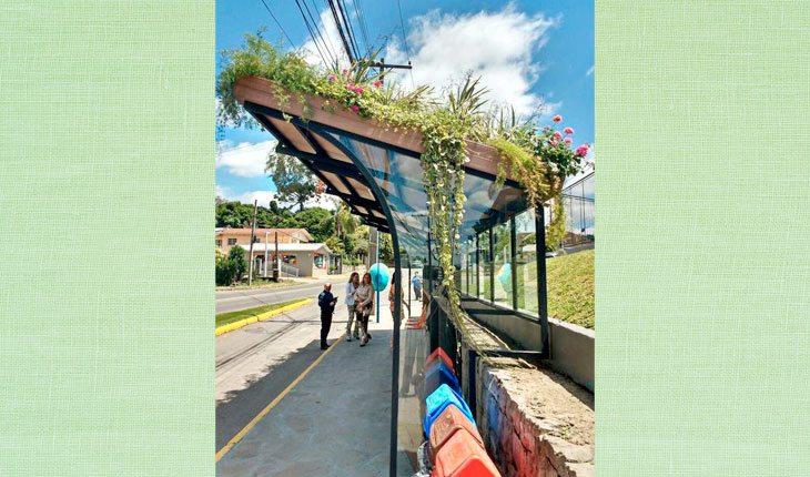 Telhado verde. Foto de um ponto de ônibus com teto verde
