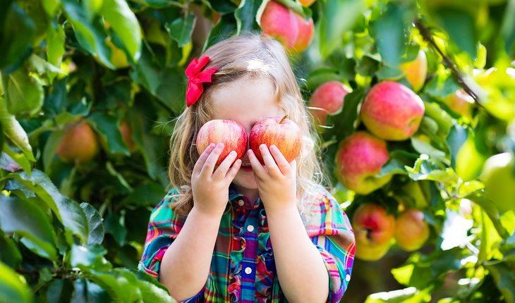 Menina loira segurando maçãs na frente dos olhos com uma árvore carregada de frutos atrás
