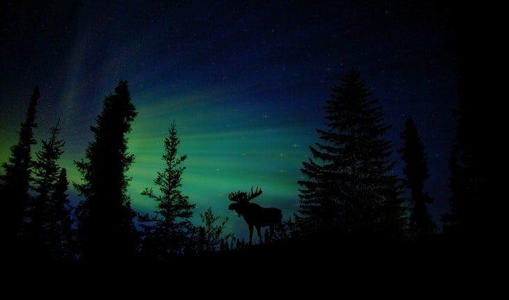 Imagem de uma aurora boreal