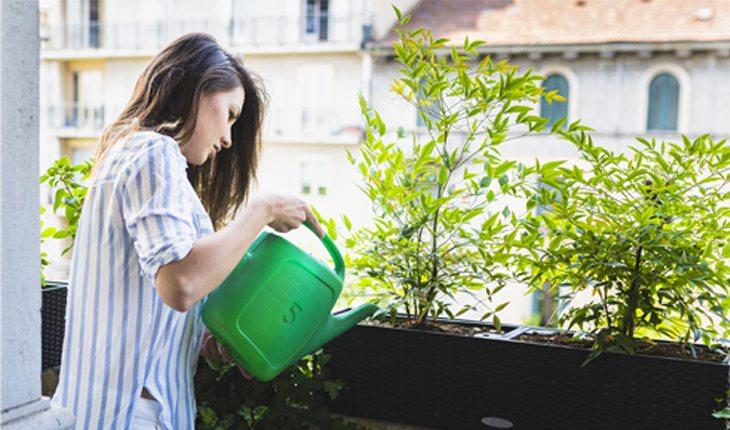 Na foto há uma mulher regando plantas em uma sacada
