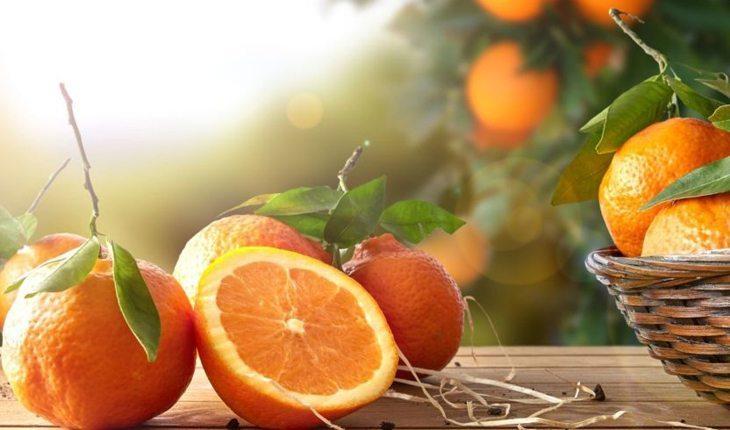 Saiba quais são as frutas permitidas na dieta low carb