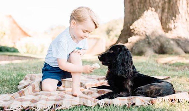 Kate Middleton está grávida. Foto do príncipe George com cachorro