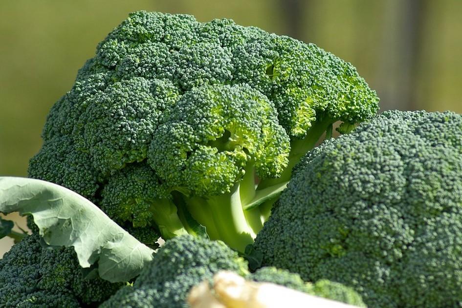 5 verduras ricas em cálcio para você acrescentar ao cardápio diário