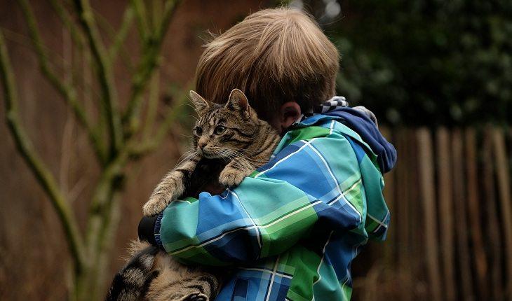 Na imagem, o menino abraça o gato. Vida mais feliz.