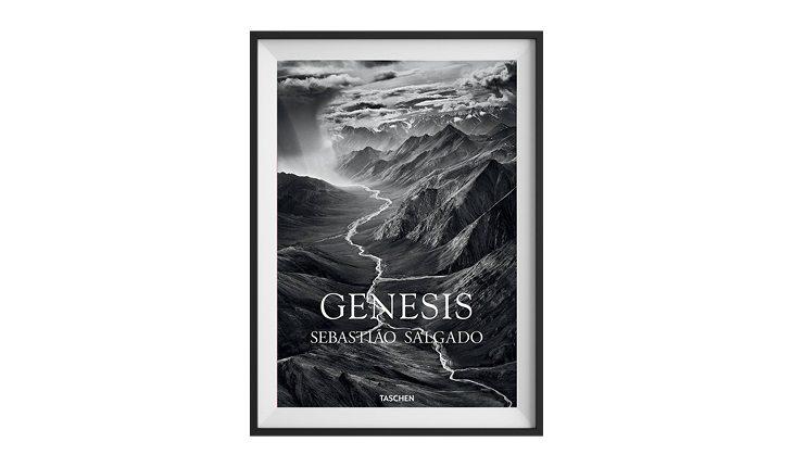 Genesis Sebastião Salgado